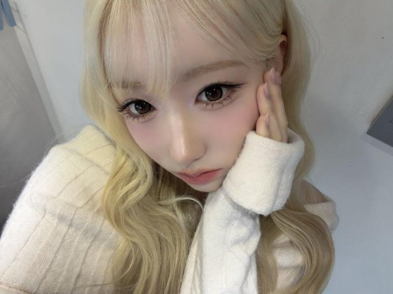 세이마이네임 메이