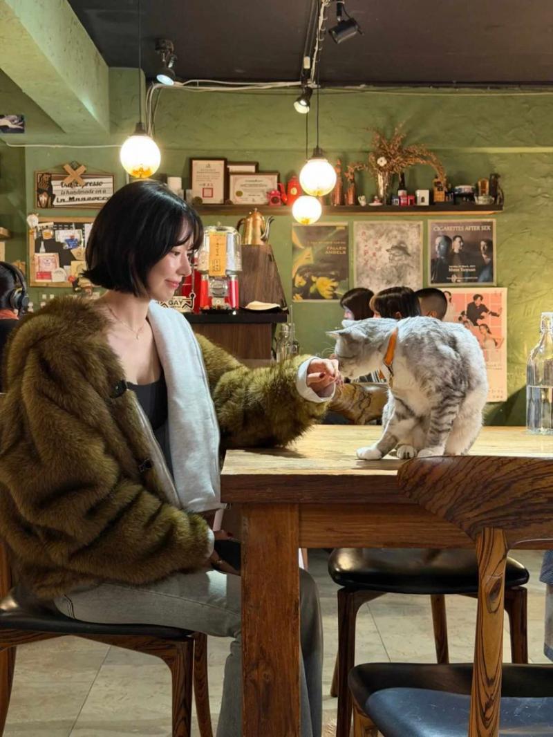 르세라핌 사쿠라