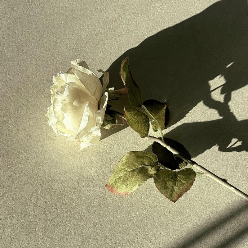 하츠투하츠 주은