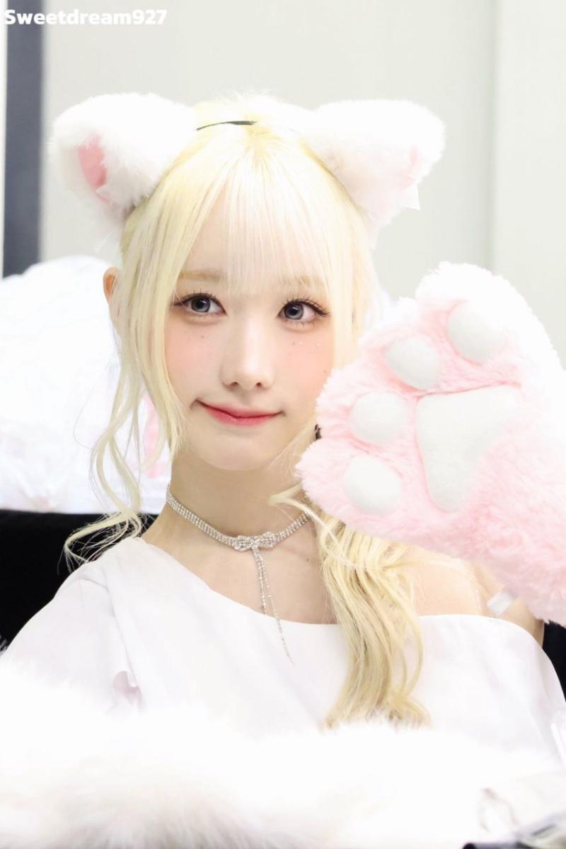 세이마이네임 메이