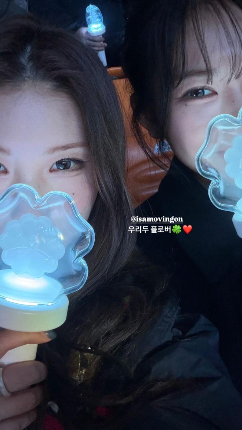 프로미스나인 채영 보러간 채영이들