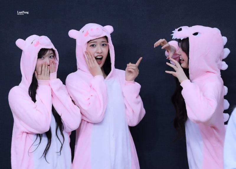 아이브 안유진,리즈,이서