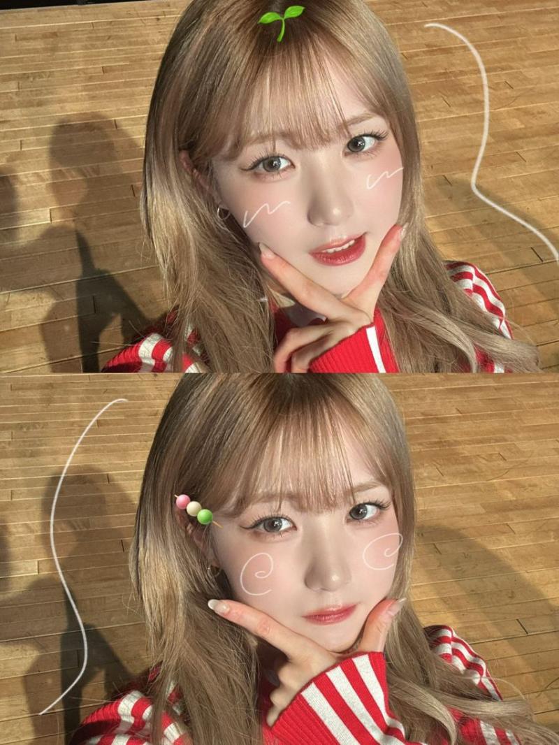 세이마이네임 히토미