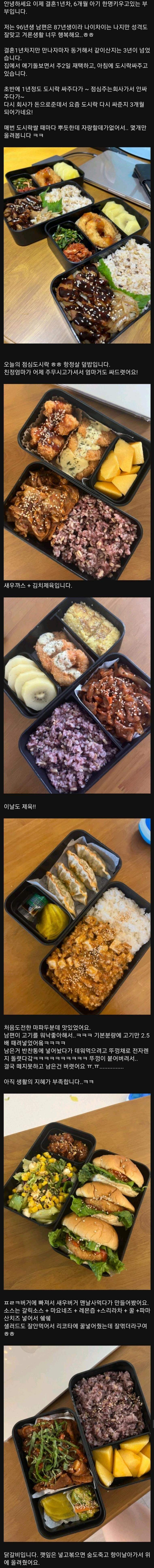 남편을 위해 도시락 싸는 흔한아내