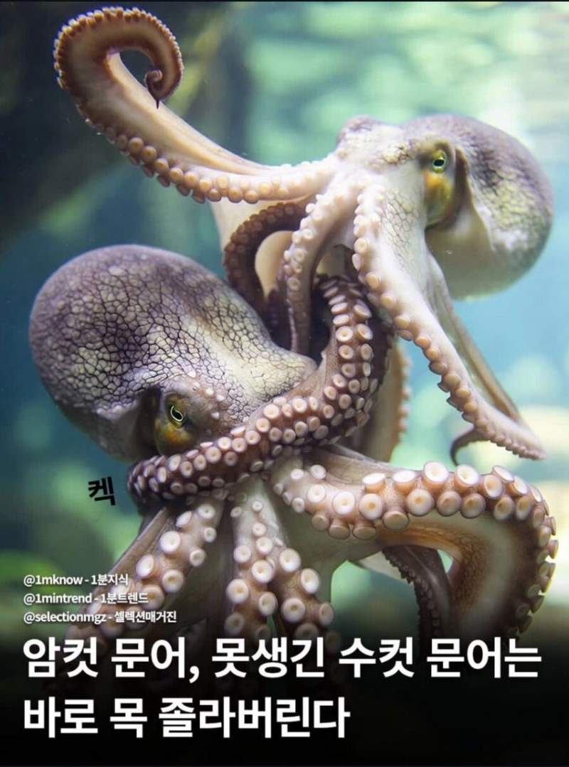 자연에서도 못생기면