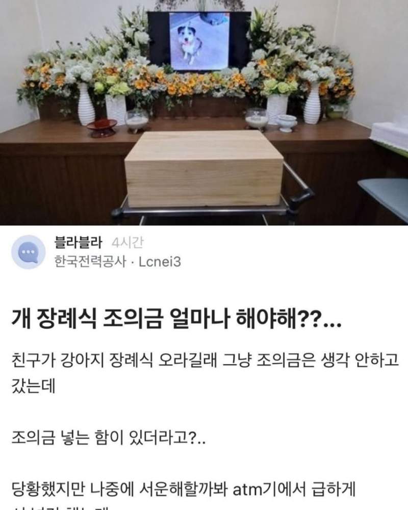 강아지 장례식 조의금 논란
