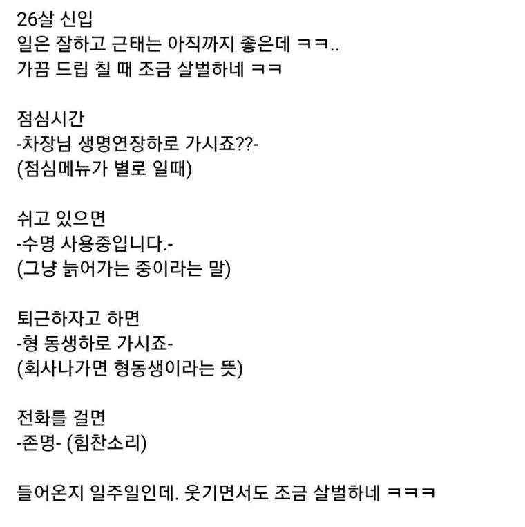 26살 신입사원이 어딘가 이상하다