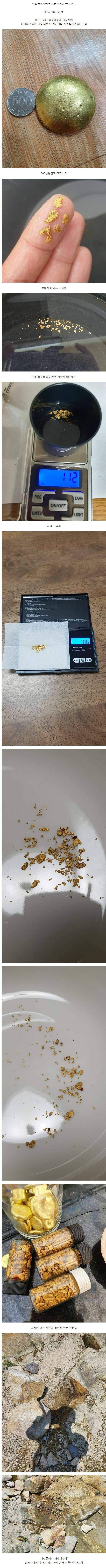 국내에서 사금 채취해서 모은 금