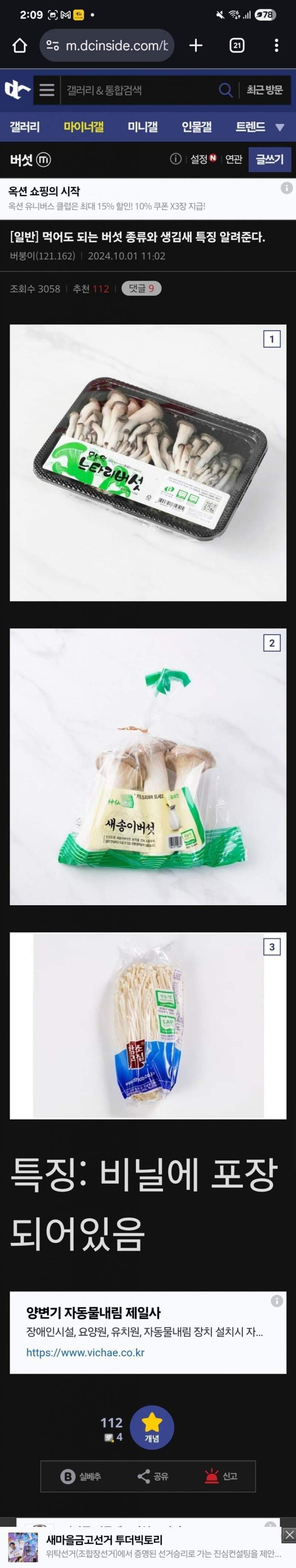 버섯 전문가가 알려주는 식용버섯 특징