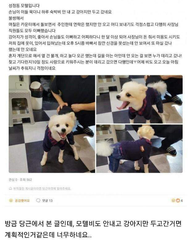 모텔 손님이 숙박비 대신 두고 간 것