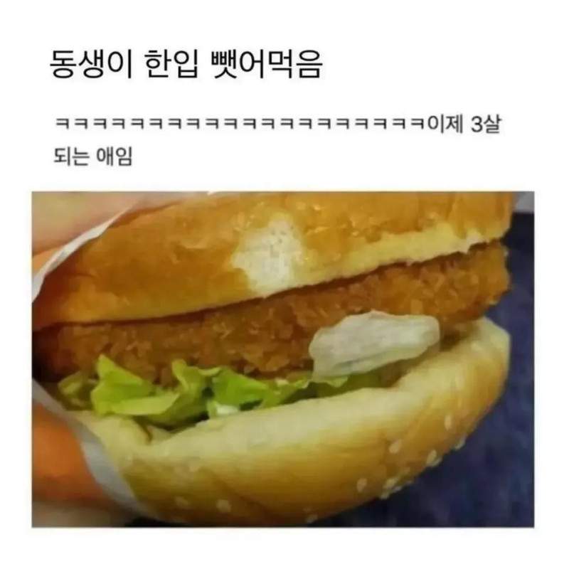 동생이 햄버거 한입만 달라고함