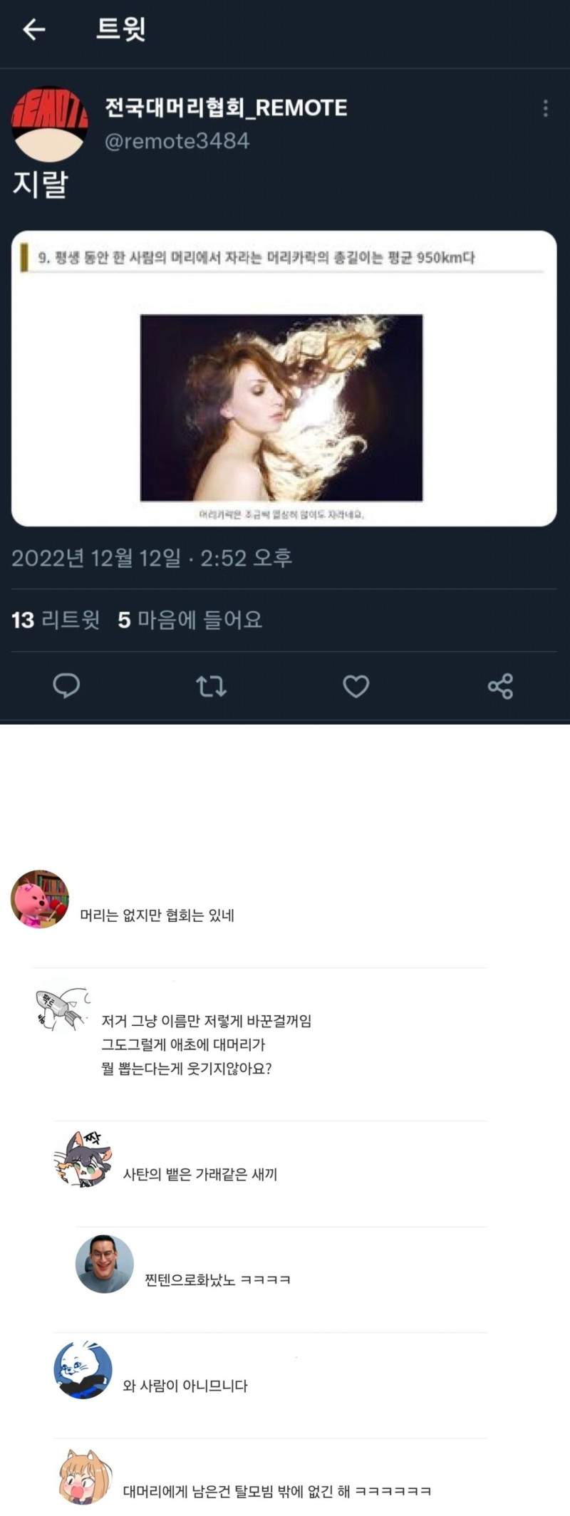 평생 자라는 머리카락 길이