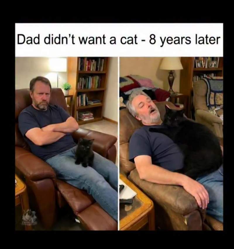 고양이 키우는 것을 반대했던 아버지