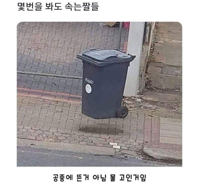 몇번을 봐도 속는 짤들