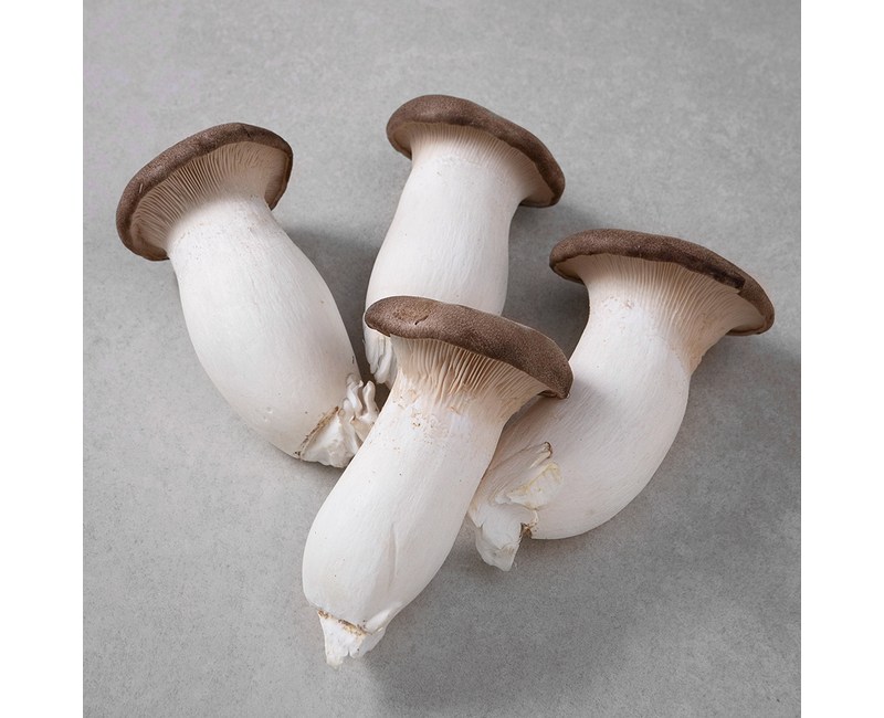 친환경 새송이버섯