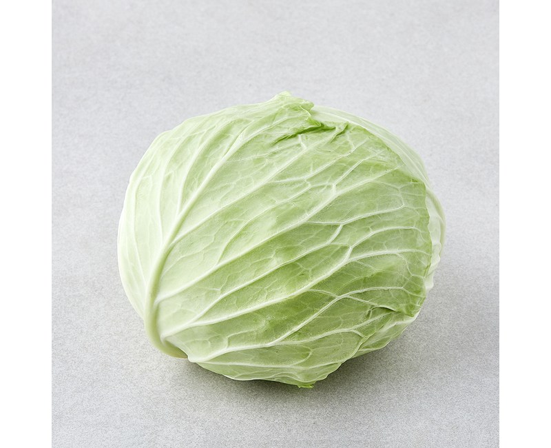 [로켓프레시] 작아도 맛있는 양배추