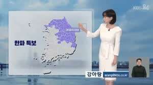 오늘자 KBS 강아랑 기상캐스터 움짤