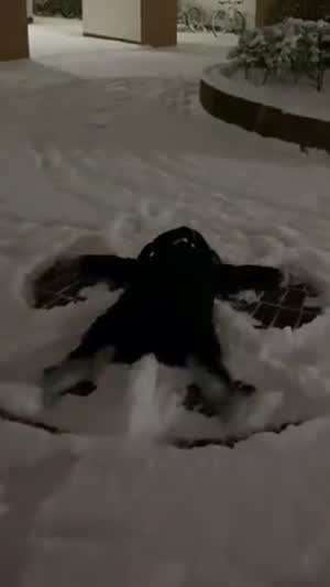 NMIXX (엔믹스) 설윤