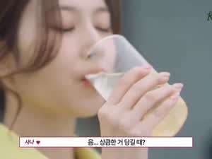 티젠 콤부차 X 트와이스 사나 쯔위 지효 채영