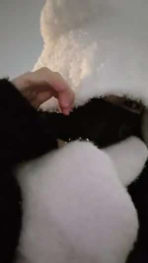 하츠투하츠 이안