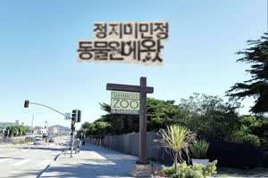 트와이스 인스타-정연