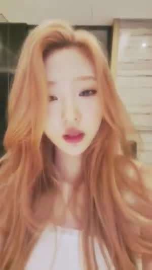 하츠투하츠 스텔라