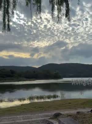 김민지 아나운서