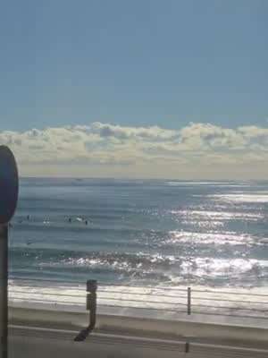 손은설 아나운서