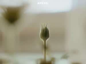 ITZY 예지 아레나