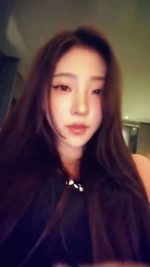 하츠투하츠 스텔라