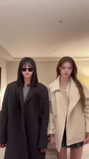 이즈나 코코, 정세비