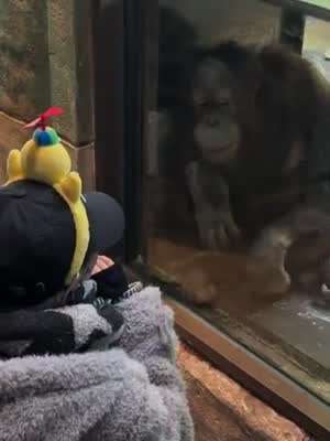 STAYC (스테이씨) 수민