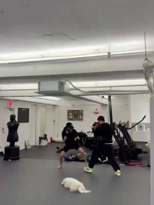 에이핑크 하영,은지