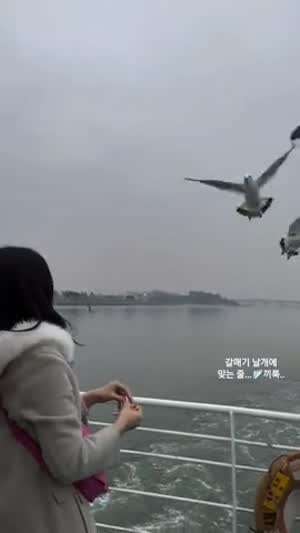 정유현 아나운서