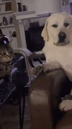 여자 못 만나본 이토징어들