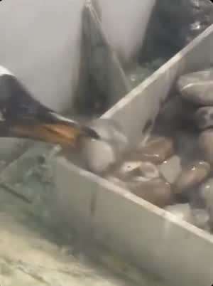 그녀에게 영원히 사랑을 표현 하는 방법