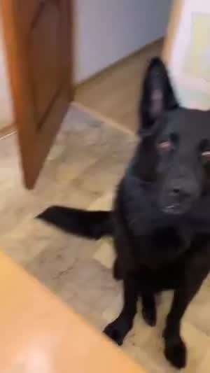 이거 웃어야 되나요?