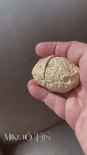 브라질에서 약 1000만원에 팔렸다는 돌