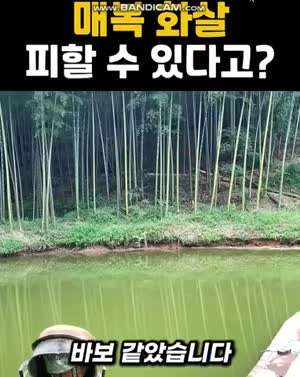 매복된 적을 알수 없었던 이유
