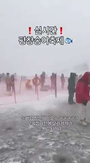 오늘자 송어 축제