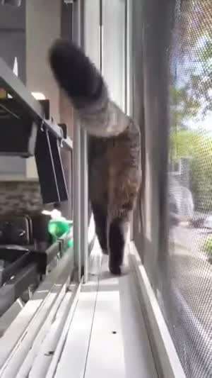 다시 힘을 내서 돌파!