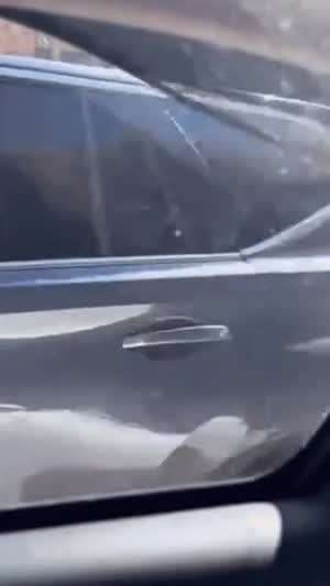 호주의 흔한 길거리 싸움.gif