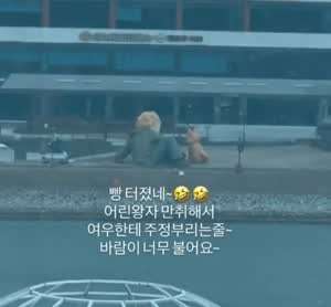 여우한테 술 주정부리는 어린왕자