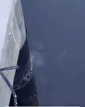 물속에서 누군가 쳐다본다