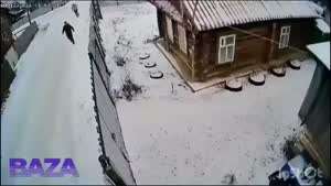 일생에 도움이 안되는 녀석