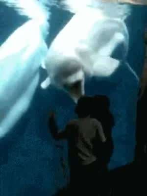 조카랑 놀아주는 삼촌 특