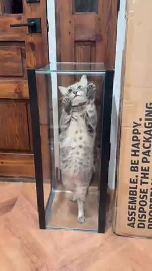 오빠 나좀 꺼내주랑!!