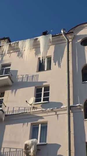 고드름 제거 대참사