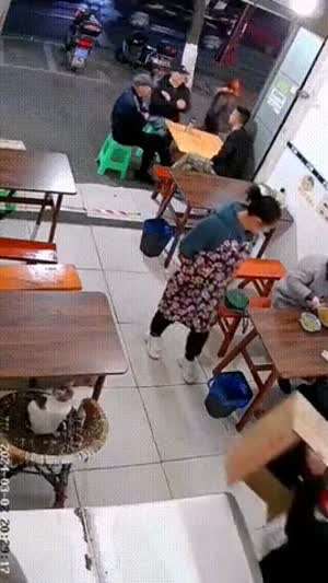 너 왜 거기 있는거냥?