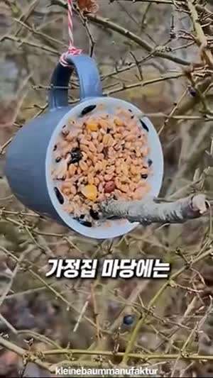 겨울철 유럽 가정집 마당에 걸려있는 머그컵.